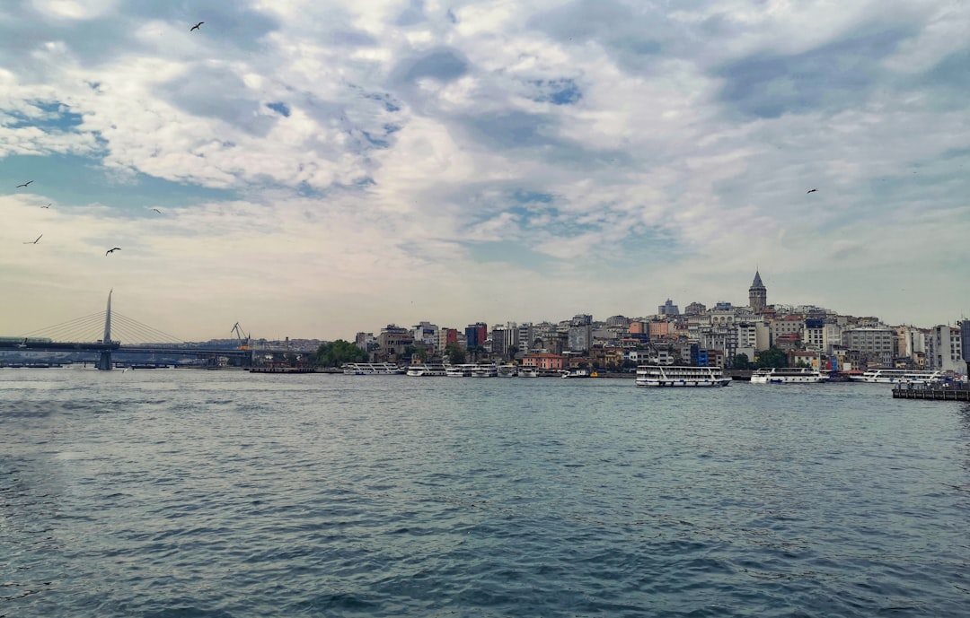 Takım Üyesi